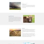 cropland-cropinsurance